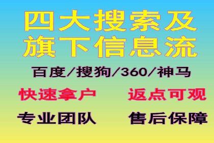 SEM托管代运营案例：打造高效营销体系