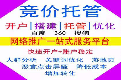 推广竞价实战经验：成功案例分享与启示